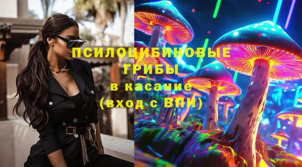 COCAINE Гусь-Хрустальный