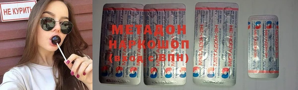 шишки Гусиноозёрск