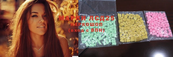 амф Гусев