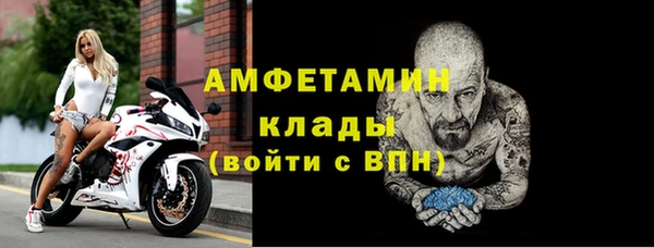 шишки Гусиноозёрск
