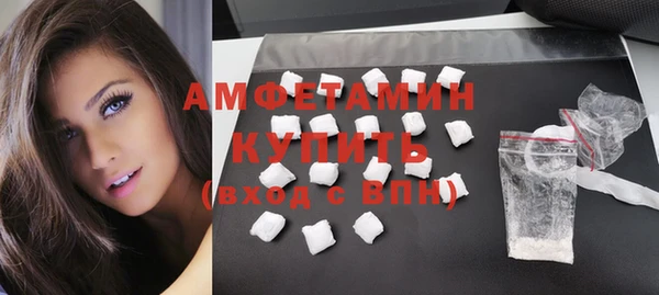 шишки Гусиноозёрск