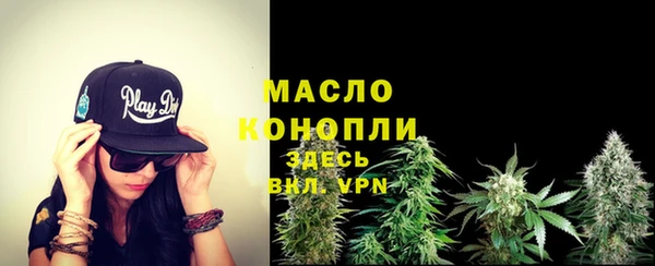 амф Гусев