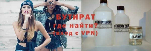 шишки Гусиноозёрск