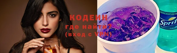амф Гусев