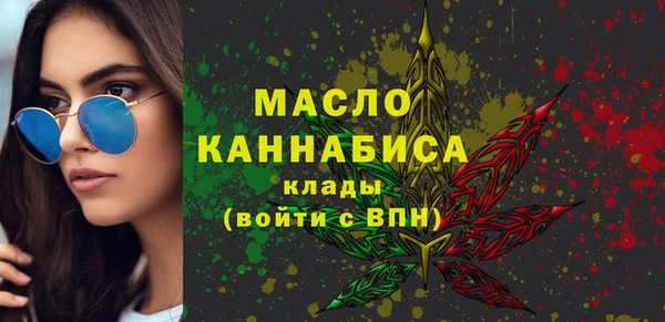 шишки Гусиноозёрск