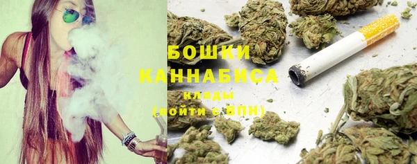 амф Гусев
