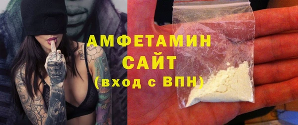 амф Гусев