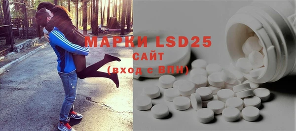 шишки Гусиноозёрск