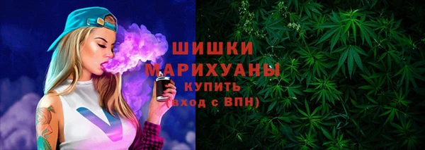 шишки Гусиноозёрск